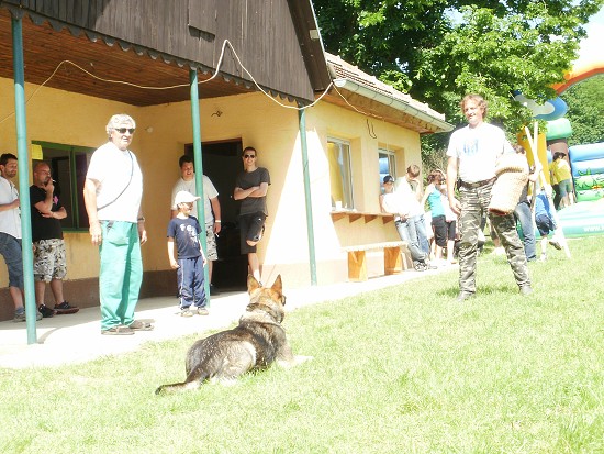img00019.jpg