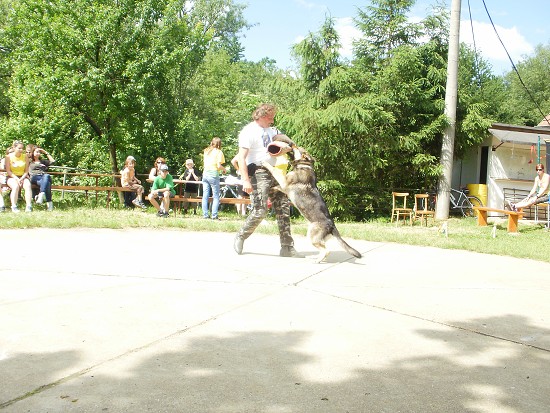 img00020.jpg