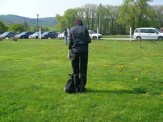 img00048.jpg