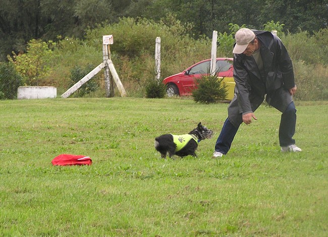img00064.jpg